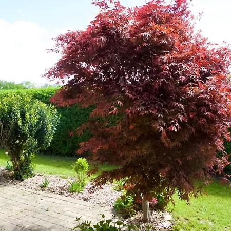 Holzblockhaus Franziska Holiday home Plattling